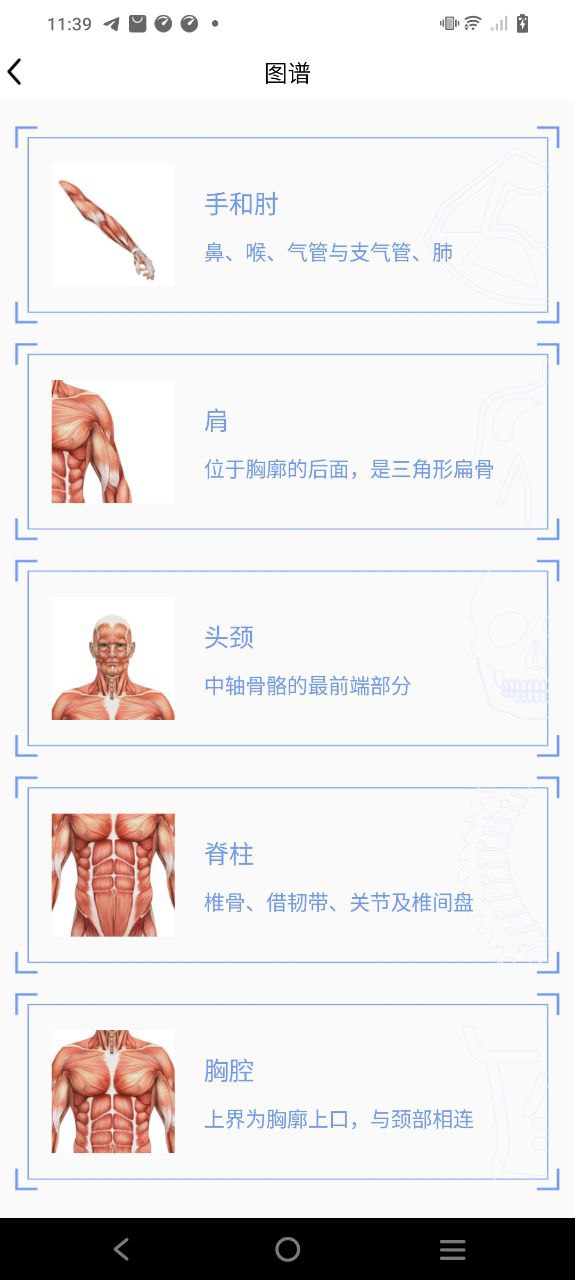 人体3D解剖图谱