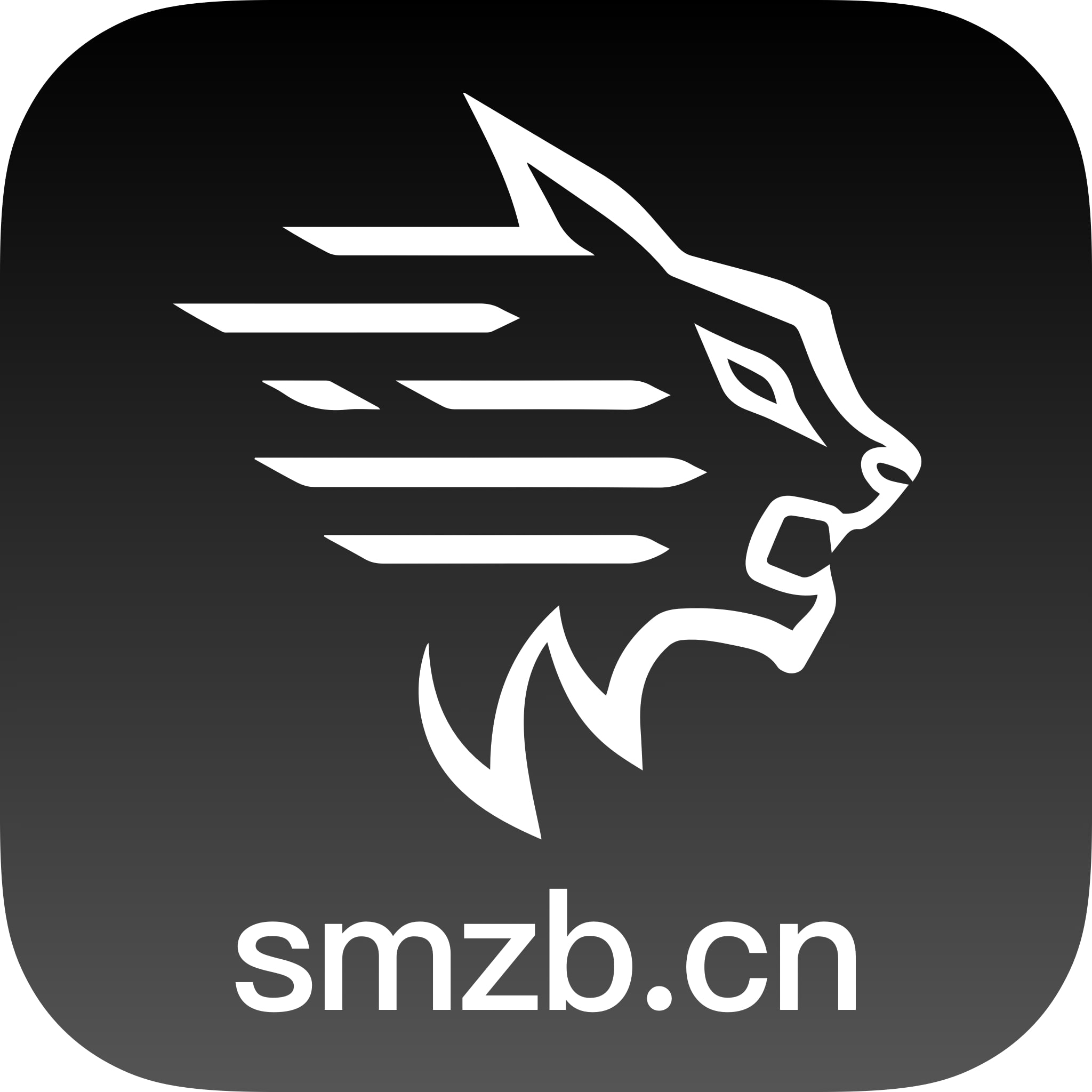 畅享最佳体育App