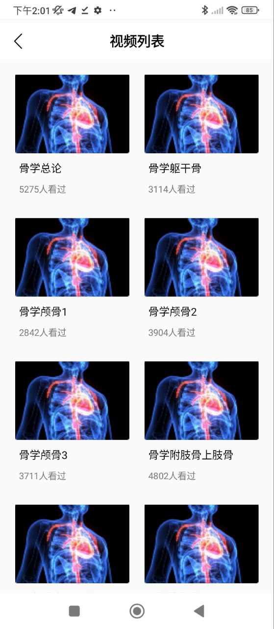 3D人体解剖图谱