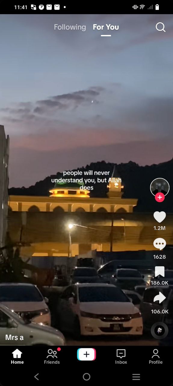 tiktok平台下载