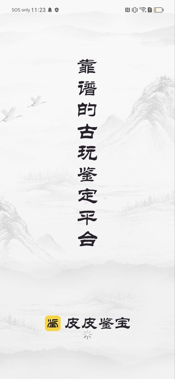 下载皮皮鉴宝免费应用
