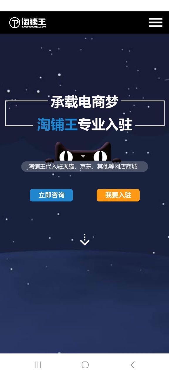 淘铺王网店转让网站链接
