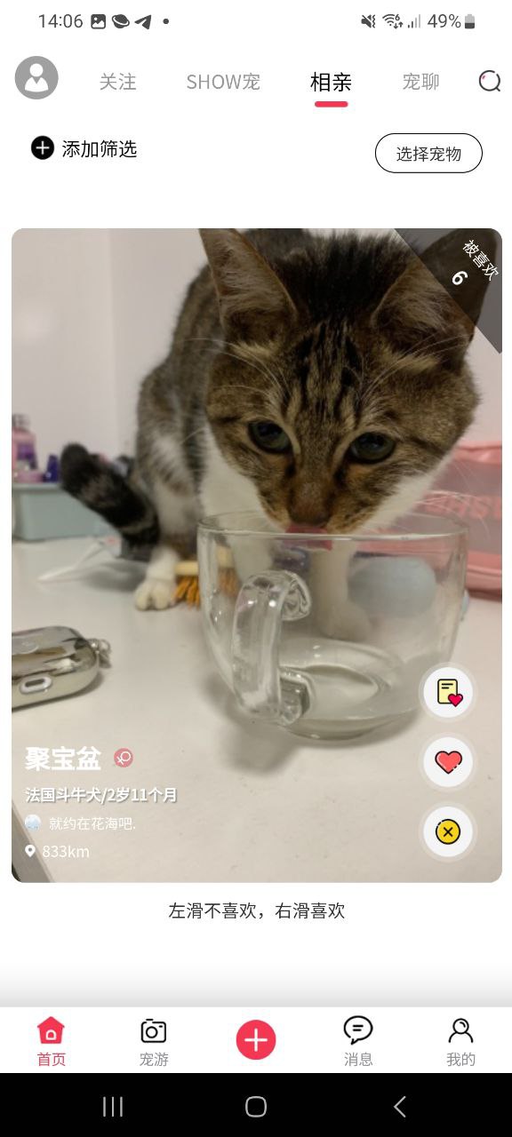 SHOW宠么最新手机免费下载