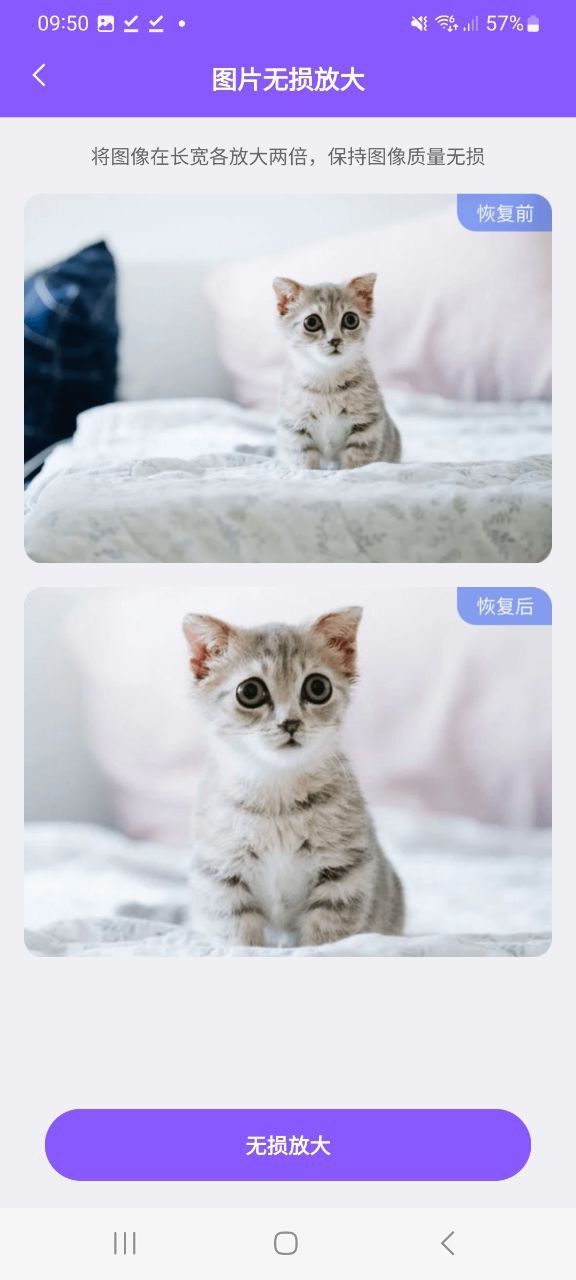 图片恢复助手