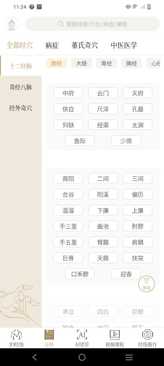 中济经络穴位