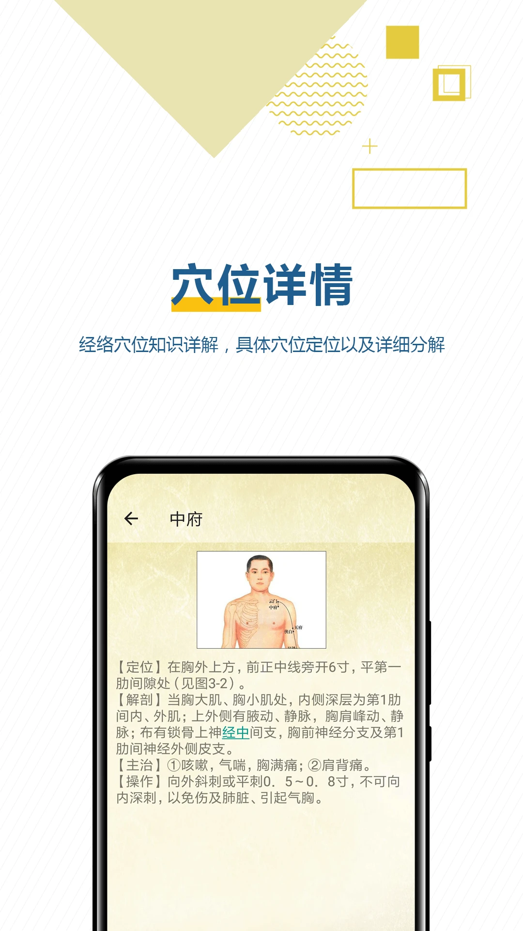 穴位按摩宝典