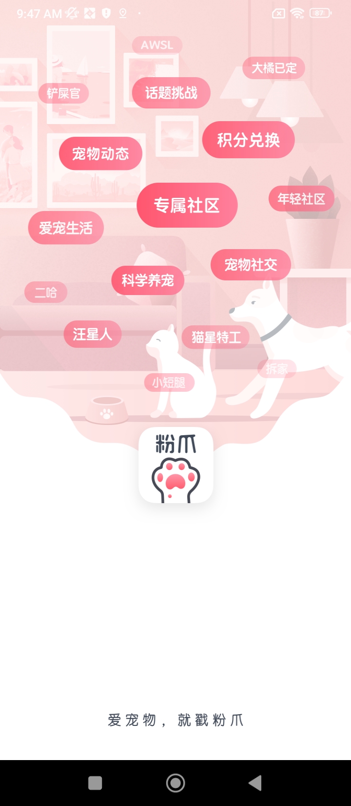 粉爪