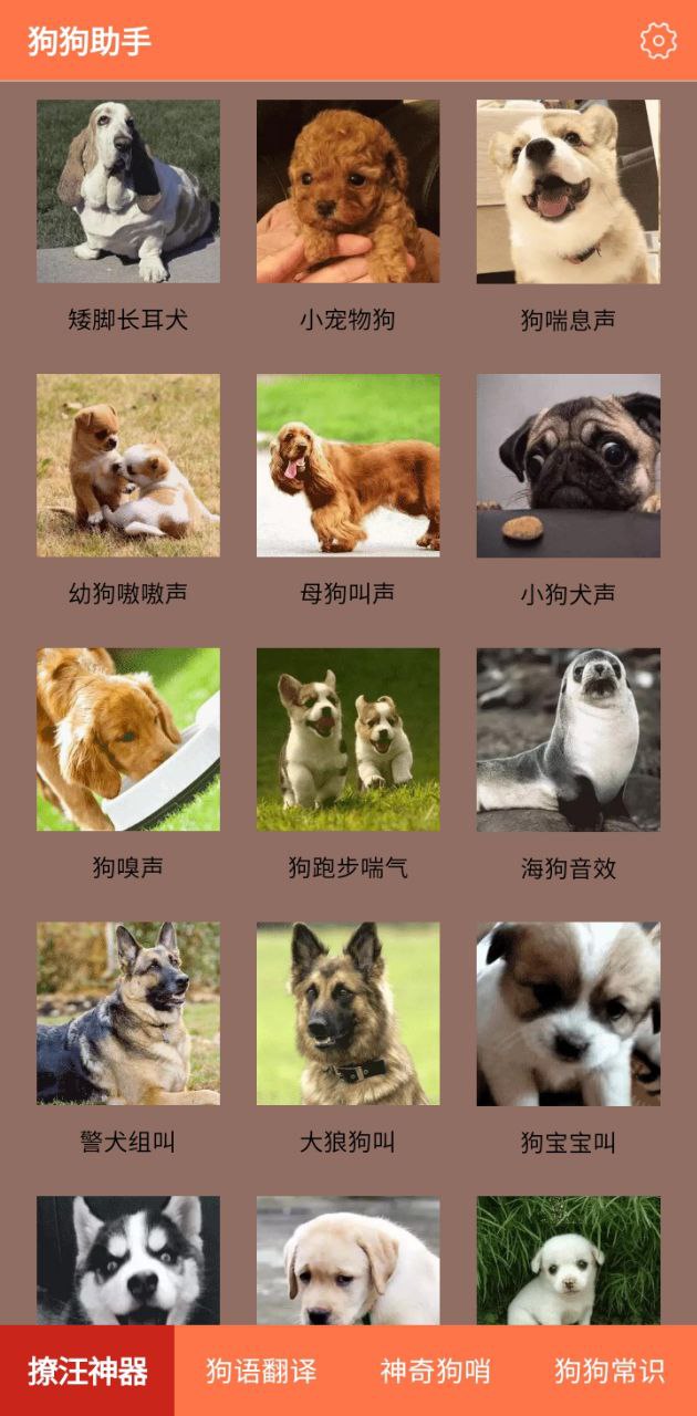 狗狗助手翻译神器