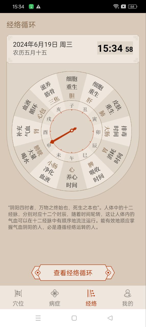 经络图解
