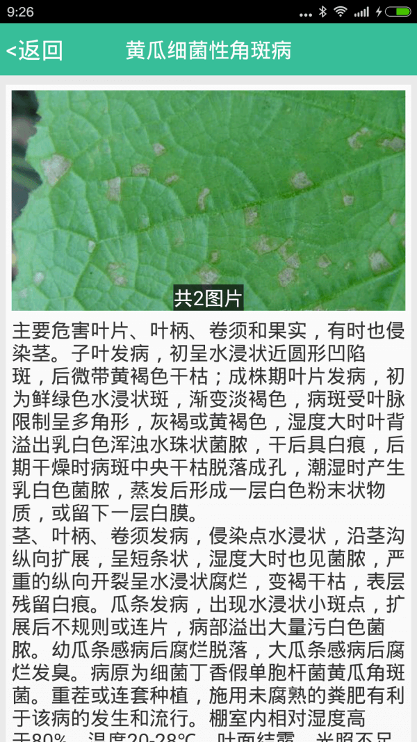 种好地最新