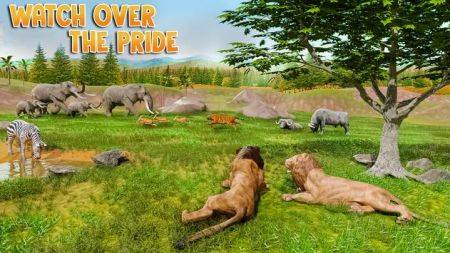 狮子模拟器3DLion Games Animal Simulator 3D